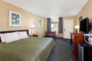 科斯塔梅萨奥兰治县机场酒店的配有一张床和一台平面电视的酒店客房