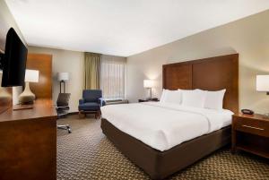 列克星敦弗吉尼亚州霍斯中心康福特因酒店的酒店客房设有一张大床和一张书桌。