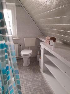 大格勒瑙TannenQuartier - Ihr Ferienhäuschen的白色的浴室设有卫生间和水槽。