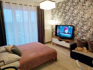 马佐夫舍地区新庄园2-Room Apartment的一间卧室配有一张床和一台平面电视