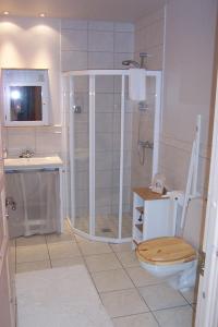 布雷达尔雅克埃伊伽洛奇垂钓小屋酒店的带淋浴、卫生间和盥洗盆的浴室