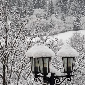 拉维西尔Au coeur du Volcantal的湖旁的雪覆盖着街道灯