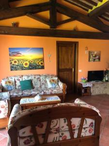 阿夏诺Country House Girasole Crete Senesi Vakantie Huis的带沙发和电视的客厅