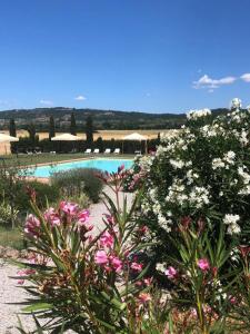 阿夏诺Country House Girasole Crete Senesi Vakantie Huis的鲜花盛开的花园和游泳池