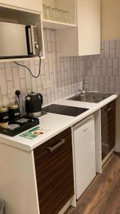 登比Braillen Suite- 2 bedroom with kitchenette and bathroom的小厨房配有炉灶和水槽