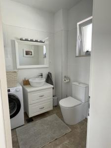 NerežišćeIsland Brac - Villa Vita的浴室配有卫生间水槽和洗衣机。