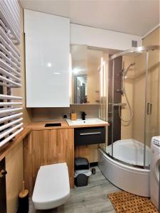 格利维采Apartament Radiostacja - Tarnogórska, z miejscem parkingowym的浴室配有卫生间、盥洗盆和浴缸。