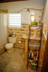 萨利纳斯John & Marina’s Place的一间带卫生间、水槽和镜子的浴室
