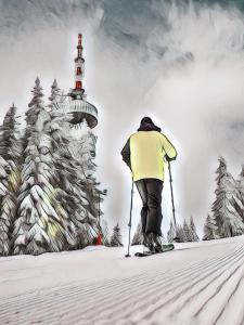 潘波洛沃Top of the Mountain Гранд Манастира частни Апартаменти的滑雪者在灯塔附近的雪地里