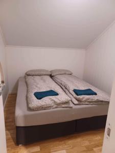 特罗姆瑟FeelHome apartment In Tromsdalen的一张位于房间的床,上面有两个蓝色的枕头