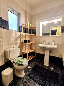 雅典Lucy's apartment的一间带卫生间和水槽的浴室