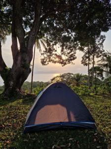 Santo AntónioWorld's View Wild Camping Salaszoi, Principe Island的树下草上的一个帐篷