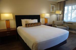 圣巴巴拉玫瑰花园汽车旅馆的酒店客房带一张大床和一把椅子