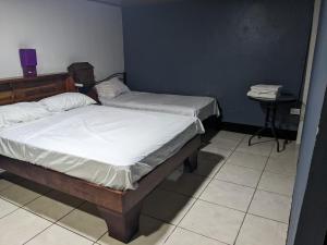 阿拉胡埃拉Apartments Pura Vida的带桌子的客房内的两张单人床