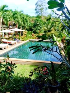 象岛普瑞威赛度假村 - 阁昌岛的花园中的一个游泳池