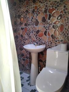 圣马科斯拉拉古纳Hotel Berena的一间带水槽的浴室和一个带石墙的卫生间