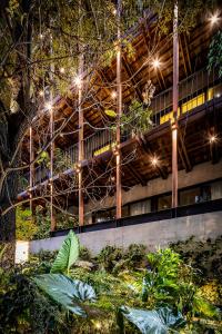 墨西哥城Ana Polanco Apartments的前面有灯和植物的建筑