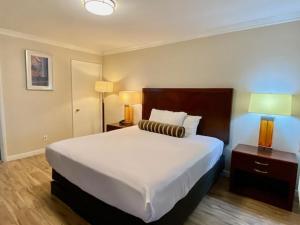 圣巴巴拉玫瑰花园汽车旅馆的酒店客房设有一张大床和两盏灯。