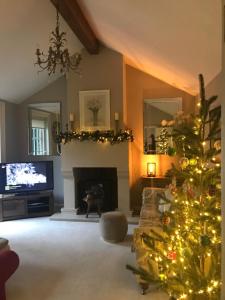 斯托桥The Lodge at The Cedars的客厅配有圣诞树和电视