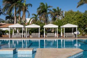 埃拉特艾斯炊酒店的一个带白色遮阳伞和树木的游泳池