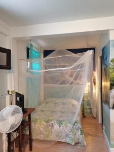 舍尔谢Gites "les colibris"的一间卧室配有一张带蚊帐的床