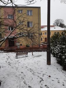 肯琴Mieszkanie na mazurach 2的雪覆盖的公园的长凳