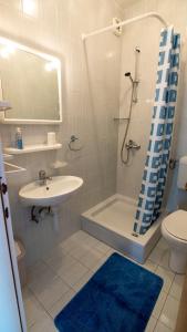 拉布德约科维奇公寓的一间带水槽、淋浴和卫生间的浴室