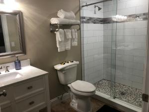 因迪兰提克Bleu Beach Resort的带淋浴、卫生间和盥洗盆的浴室