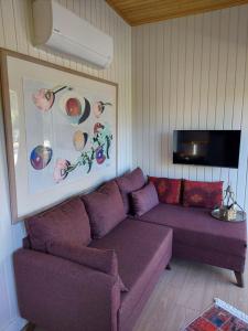 IldırDefneland Daphne的客厅配有紫色沙发和电视