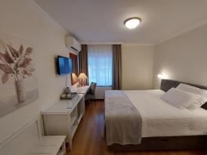 拉多夫吉卡Sport Manca Garni Hotel的一间卧室配有一张床和一张书桌及电视