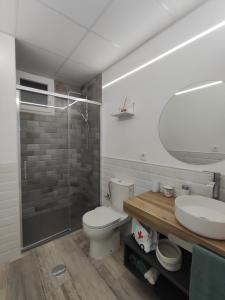 塞拉内华达Apartamento Vista Nevada的浴室配有卫生间、盥洗盆和淋浴。