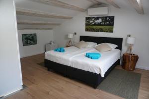 巴莱Farmhouse Cubani的一间卧室配有一张带蓝色枕头的大床