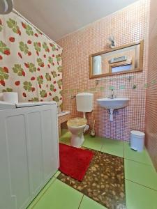 布雷拉Holiday Apartments Stomarica的一间带卫生间和水槽的浴室