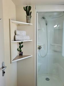 卢米奥Piana的带淋浴和一些毛巾的浴室以及玻璃门