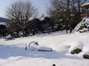 孔布卢Les Mules的一座有树木和建筑物的雪覆盖的院子