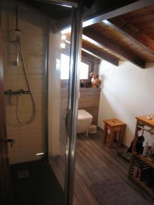 孔布卢Les Mules的带淋浴和卫生间的浴室。