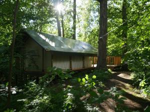 迪克里Mežurgu teltis的树林中间的小屋