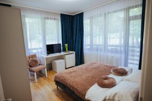VamaBăile Puturoasa的一间卧室配有一张床、一张书桌和窗户。