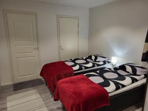 罗瓦涅米Guest House Koskenkylä的宿舍间内的两张床,上面有红毯