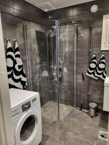 罗瓦涅米Guest House Koskenkylä的带淋浴的浴室内的洗衣机