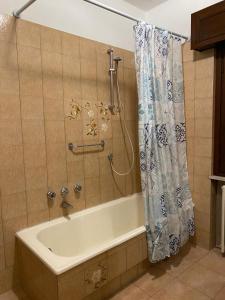 GhediCasa Andrea的带浴缸和淋浴帘的浴室