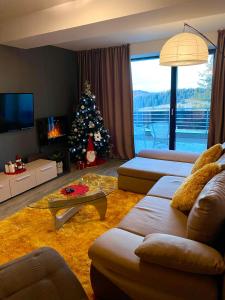 波亚纳布拉索夫Happy Place的客厅配有圣诞树和沙发