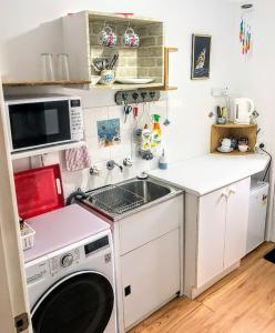 KincumberKincumber Guest Suite的一个带水槽和洗衣机的小厨房