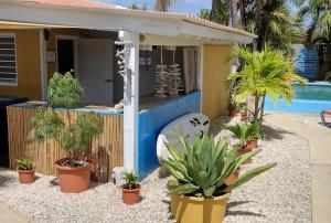 克拉伦代克Barefoot Bonaire的池前有盆栽植物的房子