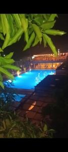 瓜杜阿斯la casita del arbol guaduas cundi.的享有游泳池的夜间景致
