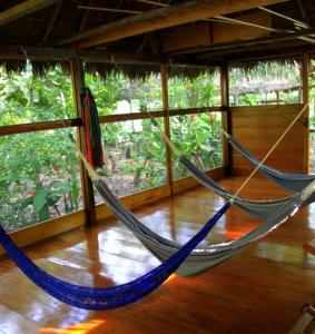 马尔多纳多港Ecolucerna Lodge Tambopata的客房内的2张吊床,铺有木地板