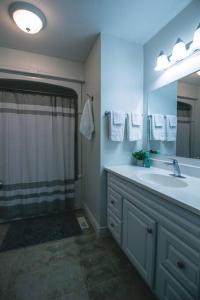 亨茨维尔Modern 4 season cottage retreat的带淋浴、盥洗盆和镜子的浴室
