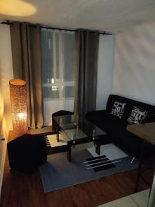 圣地亚哥santiago centro的带沙发和玻璃桌的客厅