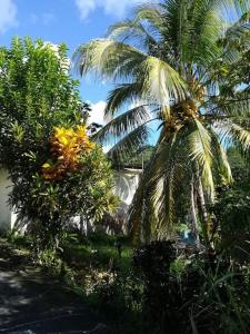 勒拉芒坦Maison chaleureuse avec terrasse et parking privé的一群棕榈树在房子前面
