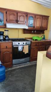 埃斯孔迪多港Casa Sixta的厨房配有炉灶和木制橱柜。